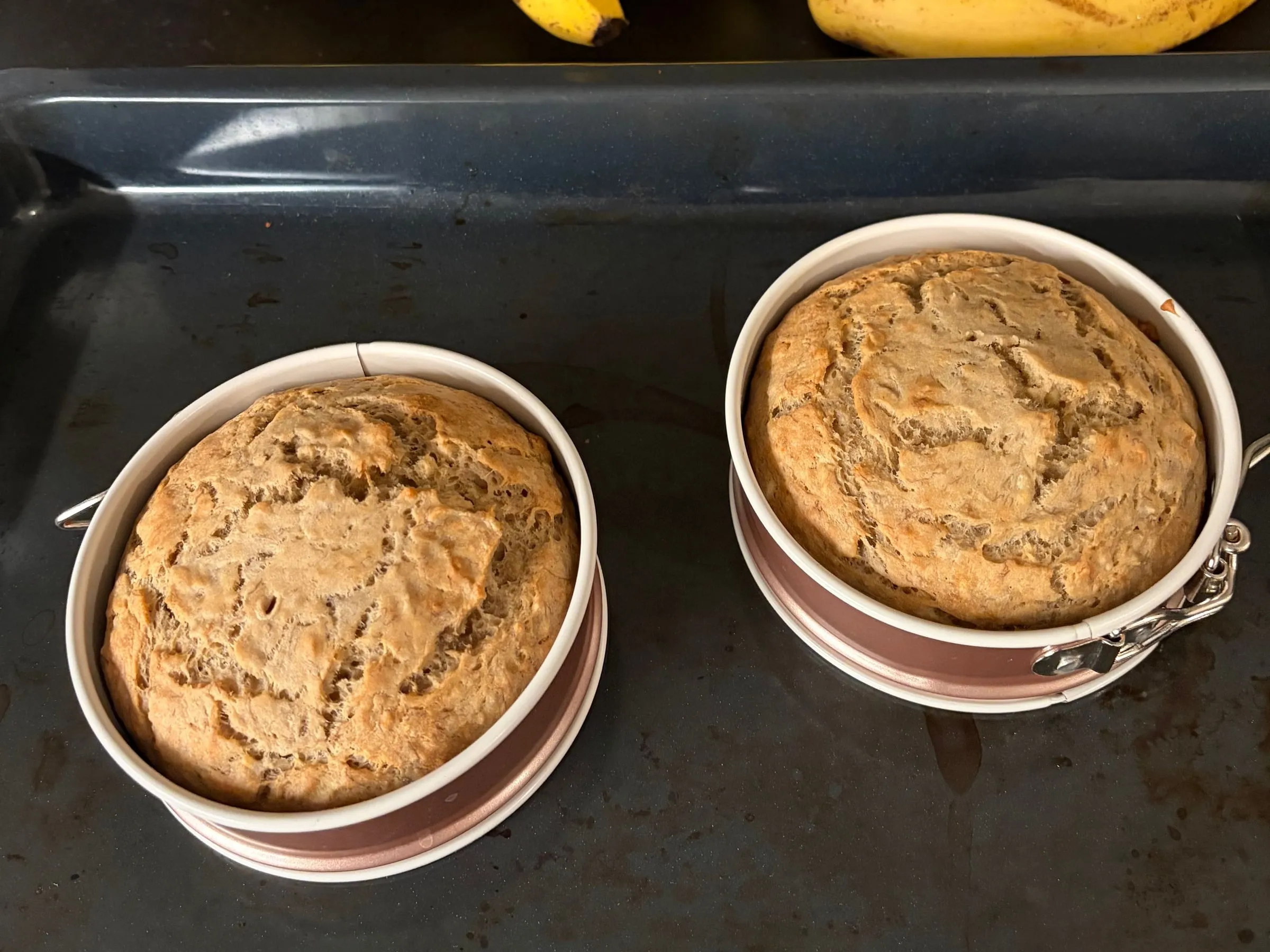 Two round banana cakes in springform pans on a baking tray, fresh from the oven, with ripe bananas behind them